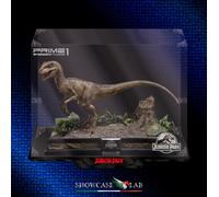 TECA IN PLEXIGLASS ACRILICO-SHOWCASE-TECA PER VELOCIRAPTOR STATUE PRIME 1 STUDIO