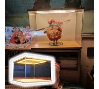 Teca Plexiglass 10 Miniature da 60 cm in Acrilico Illuminate, Vetrina Espositiva in Acrilico Trasparente Impilabile, Scatola in Vetro Alternativa Antipolvere(L35xW15xH10cm/14x6x4")