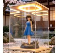 Teca Plexiglass Espositori In Acrilico Per Oggetti Da Collezione Assemblati Trasparenti, Grande Custodia Da Collezione In Acrilico Impilabile Con Striscia Luminosa A LED(20x20x24inch/50x50x60cm)
