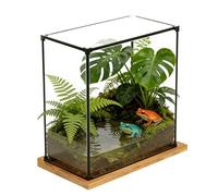 Teca Plexiglass Espositori Trasparenti per Figure, Scatole in Acrilico Impilabili Larghe e Basse con Telaio in Lega, Base Copertura Antipolvere per Medaglie Oggetti(15x10x15 cm/6x4x6 in)