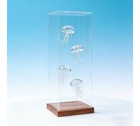 Teca Plexiglass Scatola Acrilico Trasparente Alta Definizione Miniature, Vetrina Alta Antipolvere Oggetti Collezione Base Legno, Contenitori Conservazione Fiori Secchi(20x20xH55cm/8x8x22in)