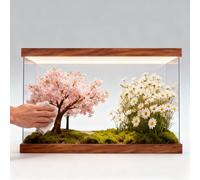 Teca Plexiglass Scatola in Acrilico Trasparente Lunga 15 20 25 30 35 40 45 50 Cm con Illuminazione, Vetrine Hobby Antipolvere, Contenitori Organizer Personalizzabili Vetrina(55x55xH50cm/22x22x20in)