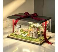 Teca Plexiglass Scatola Rettangolare in Acrilico Trasparente con Luce LED