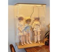 Teca Plexiglass Supporto per Vetrina in Acrilico Alta e Stretto, Contenitori di Stoccaggio Illuminati con Base in Legno, Copertura Anti-Polvere per Collezioni(30x30xH40cm/12x12x16")