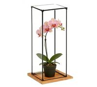 Teca Plexiglass Teche Extra Alte e Strette in Acrilico per Trofei, Scatole Trasparenti per Esporre Auto Modello, Cristalli Oggetti da Collezione, Copertura Antipolvere(10x15xH20cm/4x6x8")