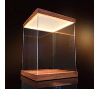 Teca Plexiglass Vetrina Cubica con Luce Integrata, Scatole Espositive in Acrilico Alte 20, 25, 30, 40, 50, 60, 70cm, Vetrina Espositiva ad Alta Trasmittanza Automontante(L50xW50xH70cm/20x20x28")