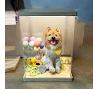 Teca Plexiglass Vetrina Espositiva Acrilico Antipolvere Sportello Illuminazione, Mobile Contenitore Alto Capiente Oggetti Collezione Statuette, Copertura Trasparente(25x20x25cm/10x8x10in)