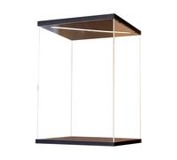 Teca Plexiglass Vetrina Illuminata Acrilico Trasparente, Espositore Collezione Impilabile Alto 25, 30, 35, 40, 45, 50, 55, 60 cm, Grandi Scatole Giocattoli Cubo Porta(25x25xH25cm/10x10x10in)