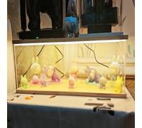 Teca Plexiglass Vetrina In Acrilico per Bambole E Personaggi di Piccole Dimensioni, 10/15/20/25/30/35/40/50/60 Cm di Lunghezza Cubi Trasparenti E Luminosi, Grande Vetrina(45x20x25cm/18x8x10in)