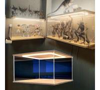 Teca Plexiglass Vetrina In Acrilico per Diverse Piccole Figure, Scatola Trasparente Extra Lunga e Leggera per Bambole Collezione, Vetrina Banco PVC con Anta, Antipolvere(40x30x35cm/16x12x14in)