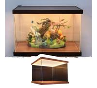 Teca Plexiglass Vetrina in Acrilico Trasparente con Illuminazione, Oggetti da Collezione Vetrina Espositiva, Scatola in Vetro Alternativa Impilabile e Antipolvere(W15xL30xH20cm/6x12x8")