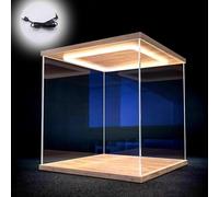 CMYUN Teca Plexiglass Vetrina in Acrilico Trasparente con Luce LED, Contenitore Antipolvere per Oggetti da Collezione/Action Figure, Perfetta Protezione per Vetrina da Banco(15x15x15cm/6 x6 x6)