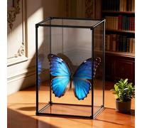 Teca Plexiglass Vetrina per Esemplari Farfalle Completamente Trasparente, Scatole Acrilico Alto Cornice Lega Nera, Scatola Decorativa Scrivania Oggetti Collezione(15x25xH50cm/6x10x20in)
