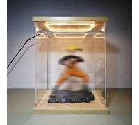 Teca Plexiglass Vetrina Trasparente Alta E Stretta per Action Figure, 10/15/20/25/30/35/40/60cm Vetrine In Acrilico Illuminate, Vetrina a LED Antipolvere Personalizzabile(30x40x50cm/12x16x20in)