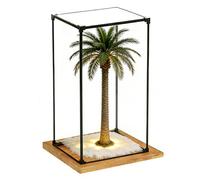 Teca Plexiglass Vetrine in Acrilico Sottili e Strette per Bicchieri da Shot Alti, Espositore Organizzato per Trofei, Cosmetici Figurine, Contenitori Visibili(25x35xH35cm/10x14x14")