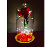 TECA Rosa Eterna La Bella e la Bestia Incantata Lampada Vetro idea regalo Natale