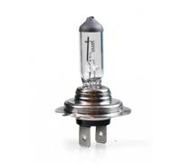 'M-Tech z904 lampada alogena P43t 24 V 75/70 W H4