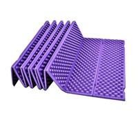 TECHAUTO Materassino Campeggio Materassino da esterno Materasso gonfiabile da campeggio Cuscino d'aria ultraleggero Tappetino da viaggio Letto pieghevole Impermeabile Letto per auto(PURPLE)