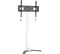 Techly Supporto da Pavimento Super Slim per TV LCD/LED/Plasma da 32'' a 70''