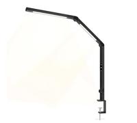 Techly 622717 Lampada LED a Doppia Sorgente Luminosa con Braccio Regolabile e Attacco a Morsetto Nero