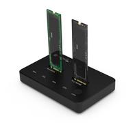 Techly Docking Station Dual-Bay SSD M.2 NVME PCIe SATA 10 Gbps Duplicatori Clone