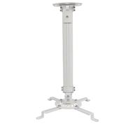 TECHLY ica-pm 18 m Flat Screen Mount for Office