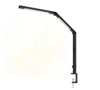 Techly 622717 Lampada LED a Doppia Sorgente Luminosa con Braccio Regolabile e Attacco a Morsetto Nero
