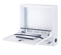 Techly Professional Box di Sicurezza per Notebook e Accessori per LIM Basic Bian