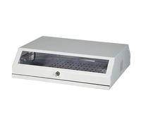 Techly Professional 365184 Armadio a Muro 19" 8Unità Bianco Bianco