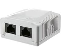 Techly Professional 366297 Presa a Muro con 2 Frutti RJ45 Cat.6 UTP Beige Beige