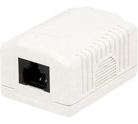 Techly Professional 366303 Presa a Muro con 1 Frutto RJ45 Cat.6 UTP Beige Beige