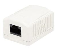 Techly Professional 621482 Presa a Muro con 1 Frutto RJ45 Cat.6A FTP Beige Beige