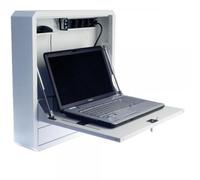 Techly Professional Box di Sicurezza per Notebook e Accessori per LIM Prof. 127