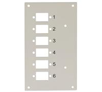 Techly Professional 109825 Pannello Frontale 6 Connessioni SC-Simplex per Box Ottico Grigio