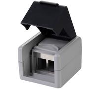 Techly Professional Scatola a Muro per 2 Frutti Keystone Slim IP44