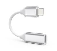 TechMatte Adattatore per cavo Lightning a USB C, ricarica rapida PD da 4 pollici, compatibile con iPhone 15/Plus/Pro/Pro Max e altri dispositivi di tipo C, 1 pezzo, argento