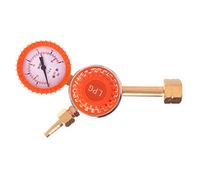 TECHNIC Riduttore di pressione dell'aria per Propano Butano GPL Regolatore di gas per il fuoco Griglia Cucina Con manometro Valvola di sicurezza Portata massima 5 m3/h Pressione di ingresso 25 bar