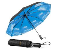 TechRise Ombrello Pieghevole, Ombrello Automatico Antivento Compatto e Forte con 10 Stecche, Apertura e Chiusura con un Solo Pulsante, Ombrello da Viaggio Portatile Leggero per Uomini e Donne, Cielo