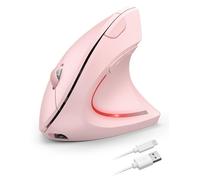 TECKNET Mouse ergonomico ricaricabile senza fili, mouse ottico verticale 2,4 G, ergonomico, 5 livelli di regolazione fino a 4800 DPI, mouse verticale wireless silenzioso con 6 pulsanti per laptop, PC
