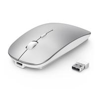 TECKNET Mouse Wireless Bluetooth, Mouse Senza Fili con DPI Regolabile 4800/3200/2400/1600/1200/800, Mouse RF 2.4G con Ricevitore USB, Mouse Portatile Mini da 4 Tasti Compatibile con Laptop, argento