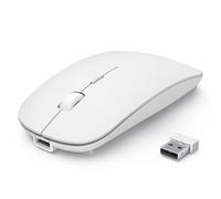 TECKNET Mouse Wireless Bluetooth, Mouse Senza Fili con DPI Regolabile 4800/3200/2400/1600/1200/800, Mouse RF 2.4G con Ricevitore USB, Mouse Portatile Mini da 4 Tasti Compatibile con Laptop, bianco