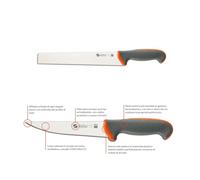 TECNA SANELLI COLTELLO SALATO LAMA 32 PROFESSIONALE ZBA8621 HORECA 2025