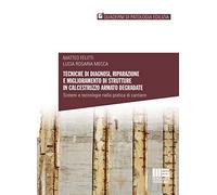 Tecniche di diagnosi, riparazione e miglioramento di strutture in calcestruzzo armato degradate