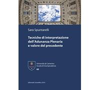 Tecniche di interpretazione dell'Adunanza Plenaria e valore del precedente