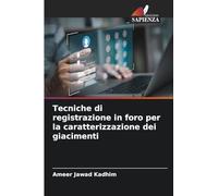 Tecniche di registrazione in foro per la caratterizzazione dei giacimenti