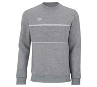 Felpa Tecnifibre Team Gris S