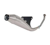 Tecnigas Collettore Piaggio Liberty/zip 4t 50cc Gp4