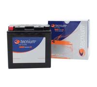 Tecnium Batteria Agm Bt14b-4 12v 12ah