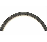 TECNIUM Cinghia di trasmissione standard