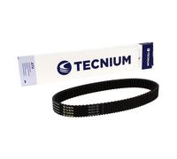 TECNIUM Cintura CVT EliteGrip